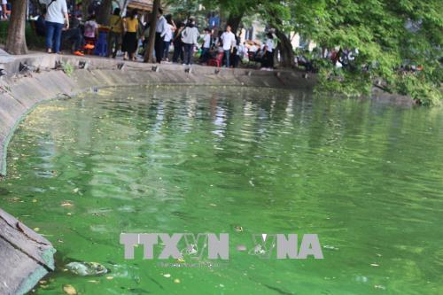 Đến sáng 20/4, lớp váng xanh nổi trên hồ Gươm đã gần như không còn